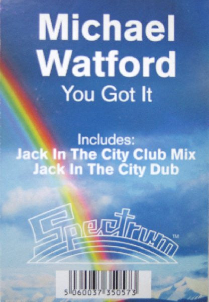 Michael Watford : You Got It (12")