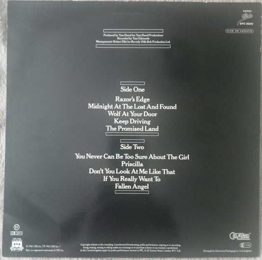 Meat Loaf : Midnight At The Lost And Found (LP, Album)