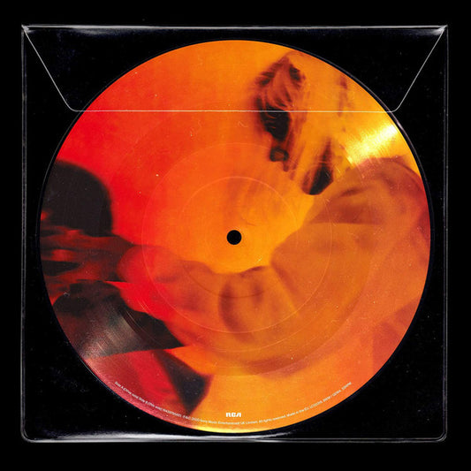Nothing But Thieves : Moral Panic (LP, Album, Ltd, Pic)