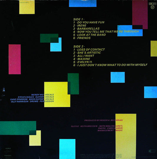 The Photos : The Photos (2xLP, Ltd)