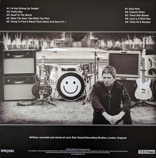Noel Gallagher's High Flying Birds : Council Skies (LP, Album, Ltd, Num, Bla)