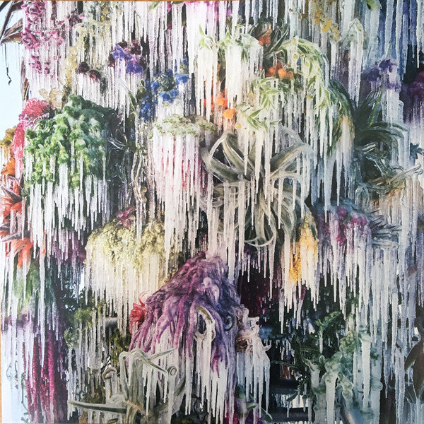Wilco : Cousin (LP, Album)