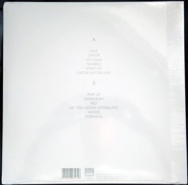 Cave Painting : Votive Life (LP)