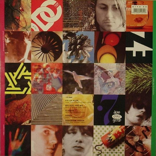 The Charlatans : Some Friendly (LP, Album)