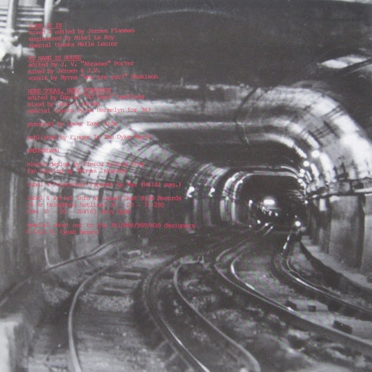Fierce Ruling Diva Featuring DJ Dano And Myrna Shakison : Floorfiller (12")