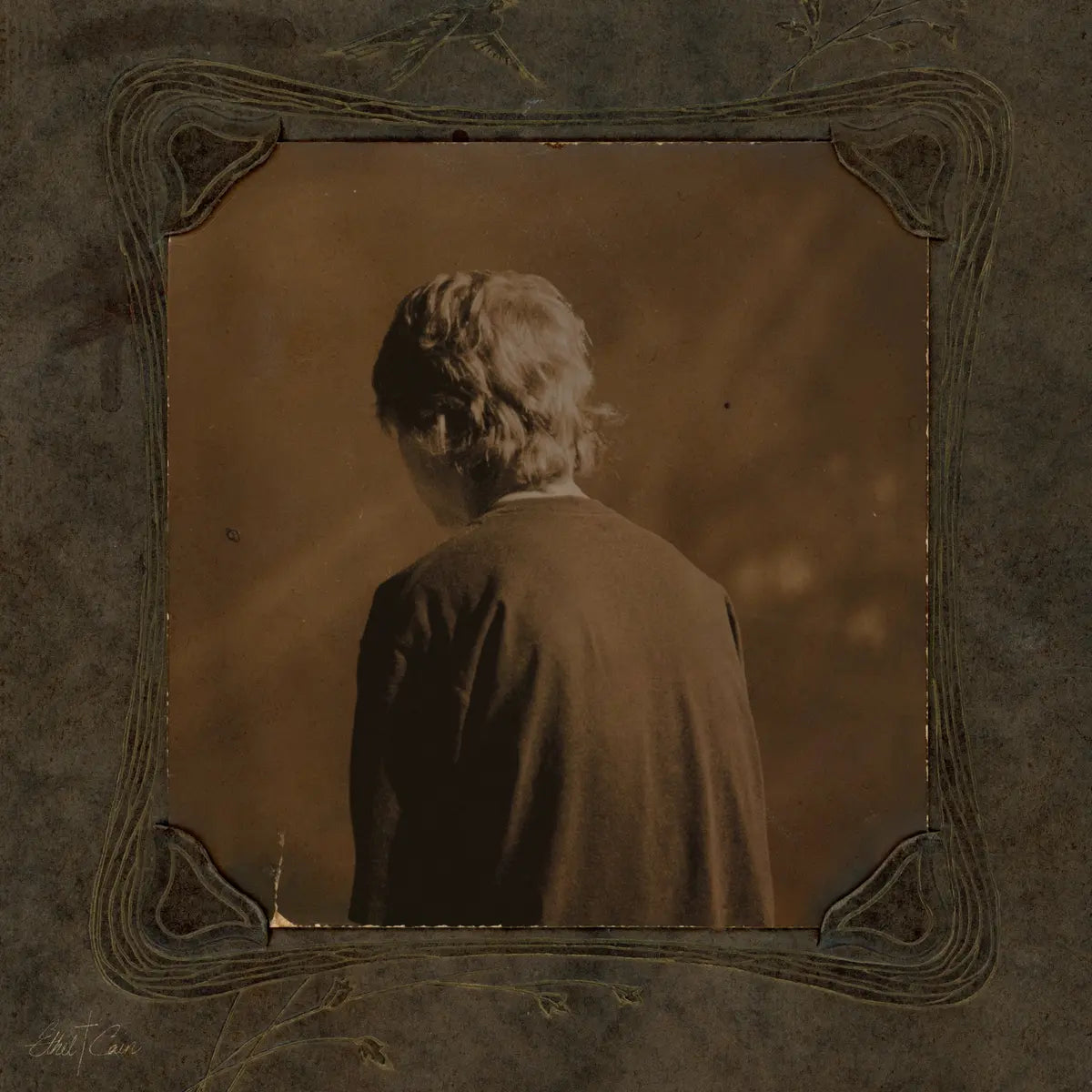 Ethel Cain - Willoughby Tucker, I’ll Always Love You