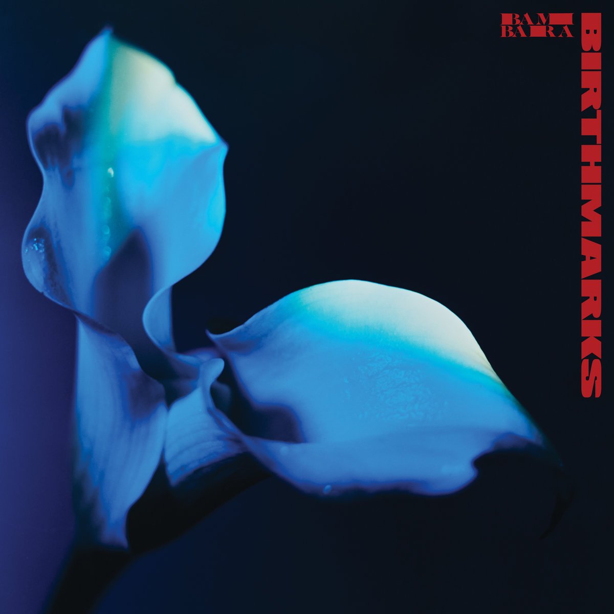Bambara Birthmarks (Red Vinyl)