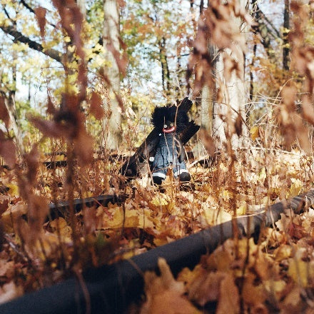 billy woods - GOLLIWOG