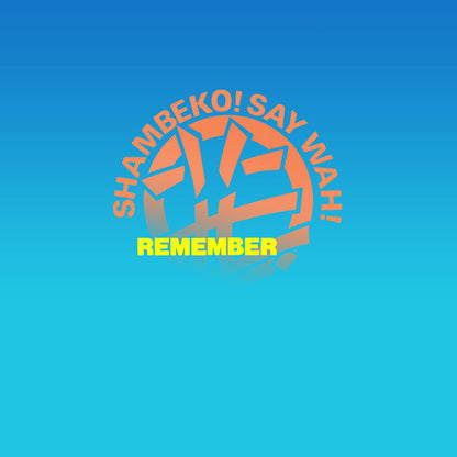 Wah! : Remember (12", Single)