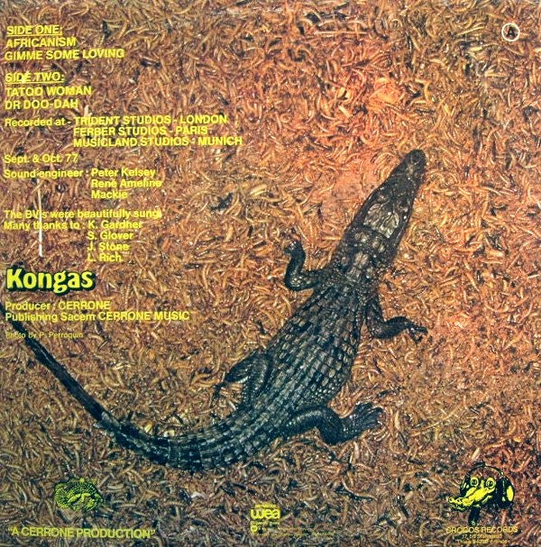 Kongas : Africanism (LP, Album)