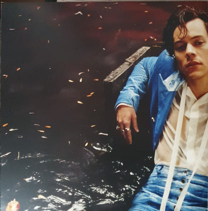 Harry Styles : Harry Styles (LP, Album, 180)