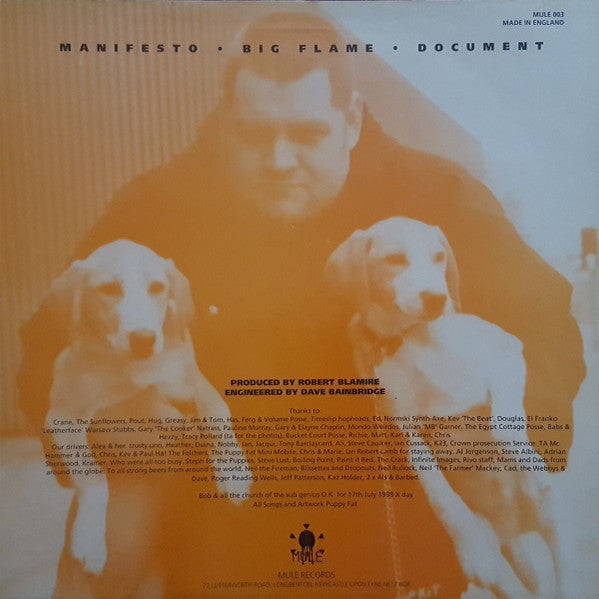 Puppy Fat : Puppy Fat (12", EP)