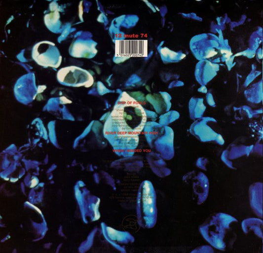 Erasure : Ship Of Fools (12", Single)