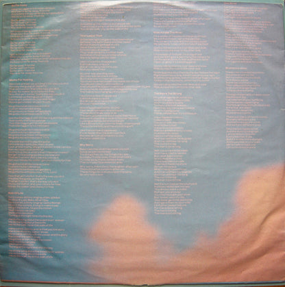 Dire Straits : Brothers In Arms (LP, Album)