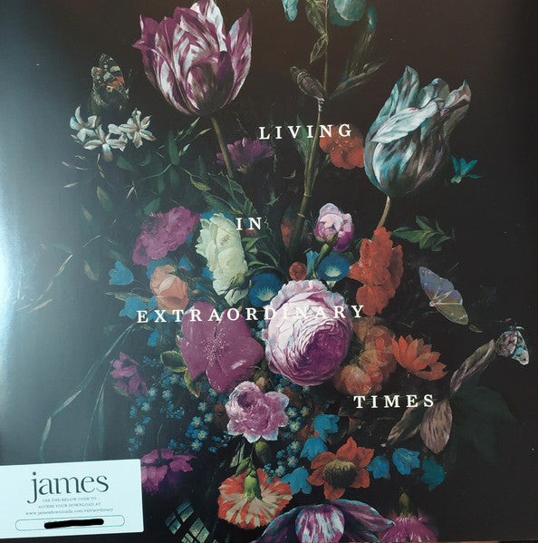 James : Living In Extraordinary Times  (2xLP, Album, 180)