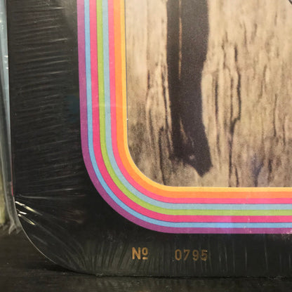 Kurt Vile : Bottle It In (2xLP, Album, Ltd, Num, Ora)