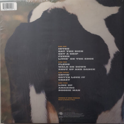 Aerosmith : Get A Grip (2xLP, Album, Ltd, RE, Whi)