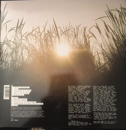 Snow Patrol : Final Straw (LP, Album, RE)