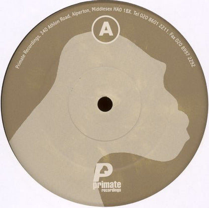 Ben Sims : Manipulated Remixes (2x12")
