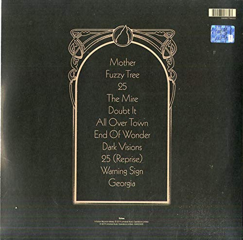 The Amazons (3) : Future Dust (LP, Album, 180)