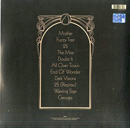 The Amazons (3) : Future Dust (LP, Album, 180)