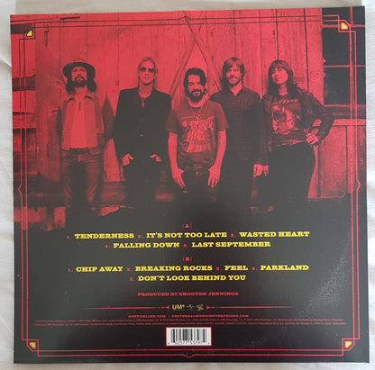 Duff McKagan : Tenderness (LP, Album)