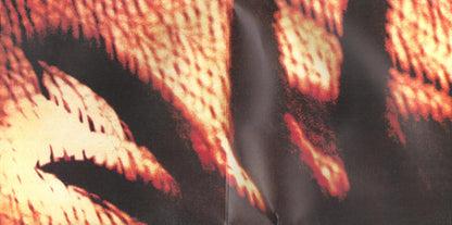 Cocteau Twins : Blue Bell Knoll (LP, Album, Ltd, Gat)