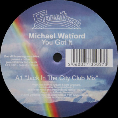 Michael Watford : You Got It (12")