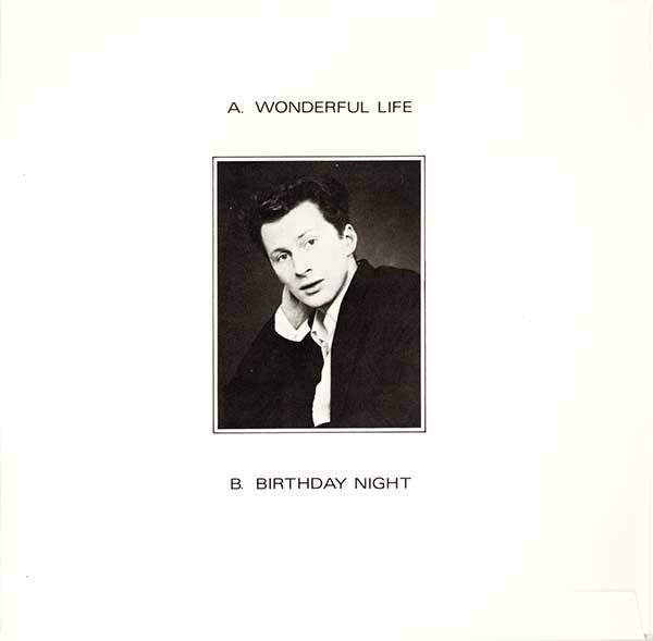 Black (2) : Wonderful Life (2x7", Single)