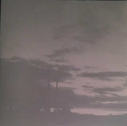 Linda McCartney : Wide Prairie (LP, Album, RM, 180)
