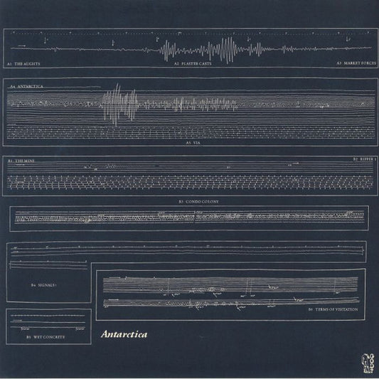 Flat Worms : Antarctica (LP, Album)