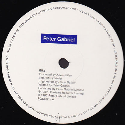 Peter Gabriel : Biko (12")