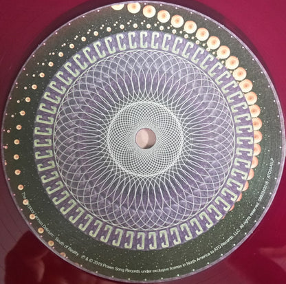 The Claypool Lennon Delirium : South Of Reality (2xLP, Album, Pur)