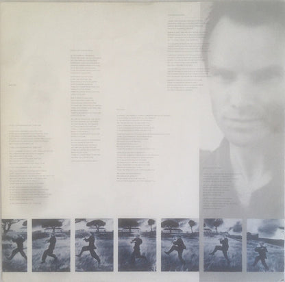 Sting : The Dream Of The Blue Turtles (LP, Album, EMI)