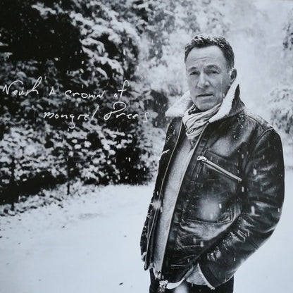 Bruce Springsteen : Letter To You (LP, Gra + LP, S/Sided, Etch, Gra + Album, Ltd)