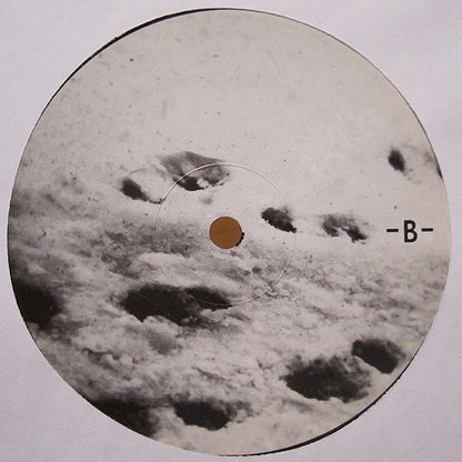 Bon Iver : Blood Bank (12", EP)