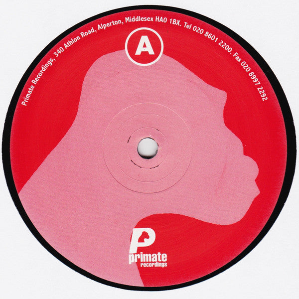 Mauro Picotto & Riccardo Ferri : Alchemist EP (2x12", EP)