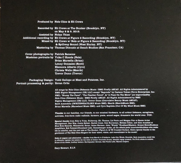 The Nels Cline Singers : Share The Wealth (CD, Album)