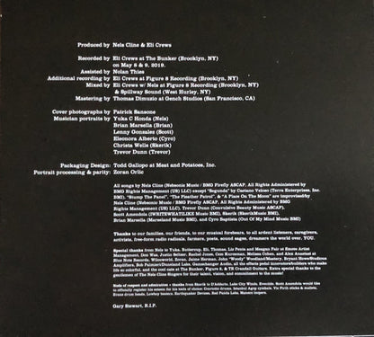 The Nels Cline Singers : Share The Wealth (CD, Album)