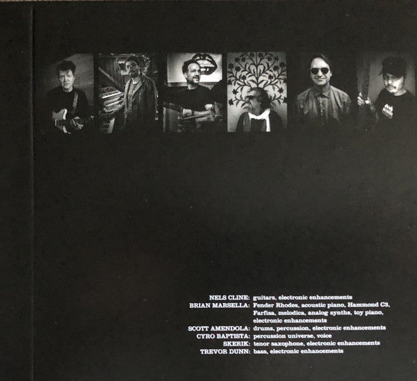 The Nels Cline Singers : Share The Wealth (CD, Album)