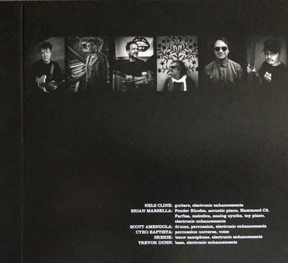 The Nels Cline Singers : Share The Wealth (CD, Album)