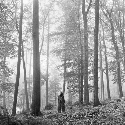 Taylor Swift : Folklore (2xLP, Album, Dlx, Bro)