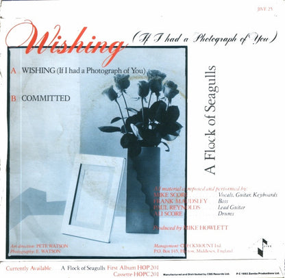 A Flock Of Seagulls : Wishing (If I Had A Photograph Of You) (7", Single)