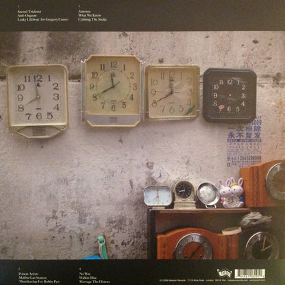 Sonic-Youth* : The Eternal (2xLP, Album, 180)