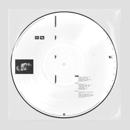 Ben Howard (2) : Collections From The Whiteout (LP, Pic + LP, S/Sided, Pic + Album, Ltd)