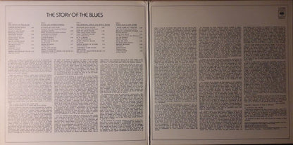 Various / Paul Oliver : The Story Of The Blues (2xLP, Comp, Gat)