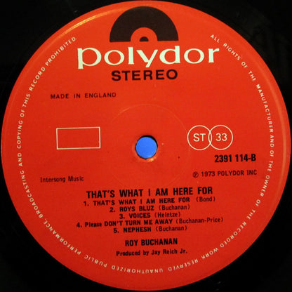 Roy Buchanan : That's What I Am Here For (LP, Album)