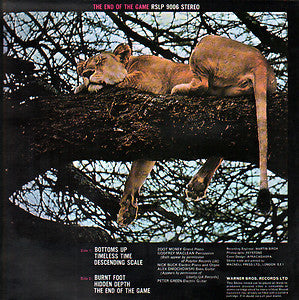 Peter Green (2) : The End Of The Game (LP, Album)