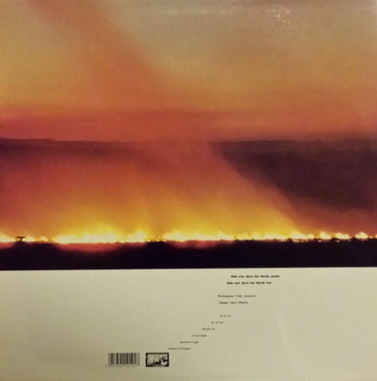 Roy Harper : Burn The World (LP)