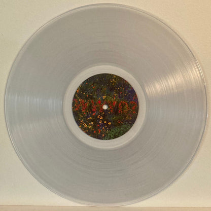 Honne : Let's Just Say The World Ended A Week From Now, What Would You Do? (LP, Album, Cle)